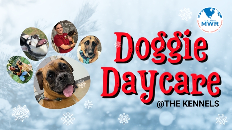 FC-Doggie-Daycare-Winter-Graphic (750x421px).png