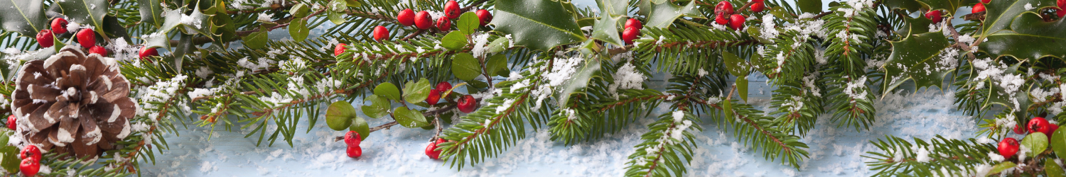 FC-Holiday Hours-HEADER-Winter.png