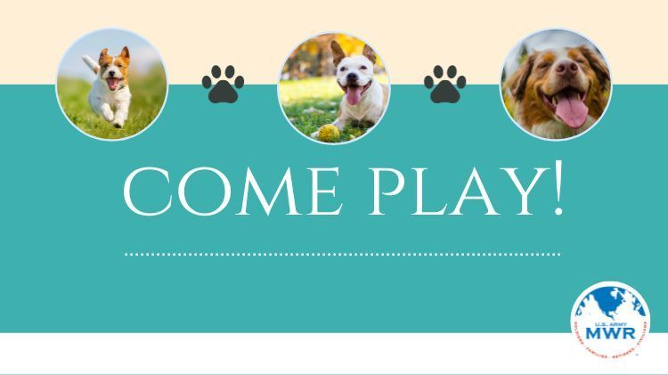 Cheapest doggie daycare near clearance me