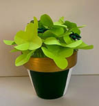 FC-AC-Origami-Shamrock-rdc.jpg