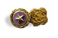 Gold Star Pins